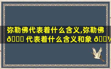 弥勒佛代表着什么含义,弥勒佛 🍁 代表着什么含义和象 🐼 征